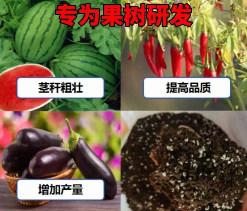 育苗基质营养土适合蔬菜瓜果专业育苗基质