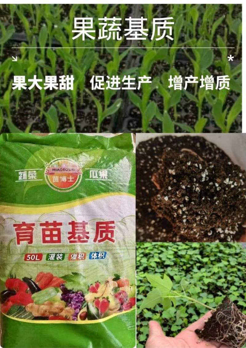 育苗基质营养土适合蔬菜瓜果专业育苗基质