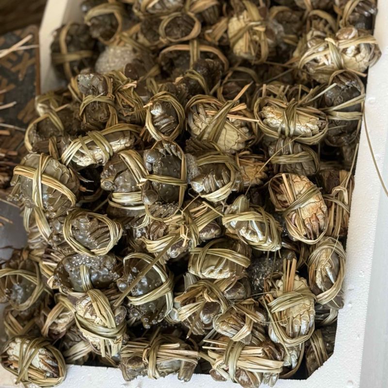 精品六月黄🦀🦀🦀礼盒可接