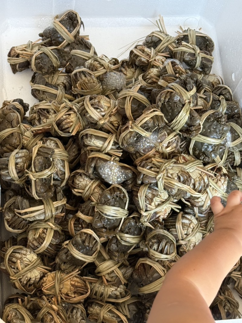 精品六月黄🦀🦀🦀礼盒可接
