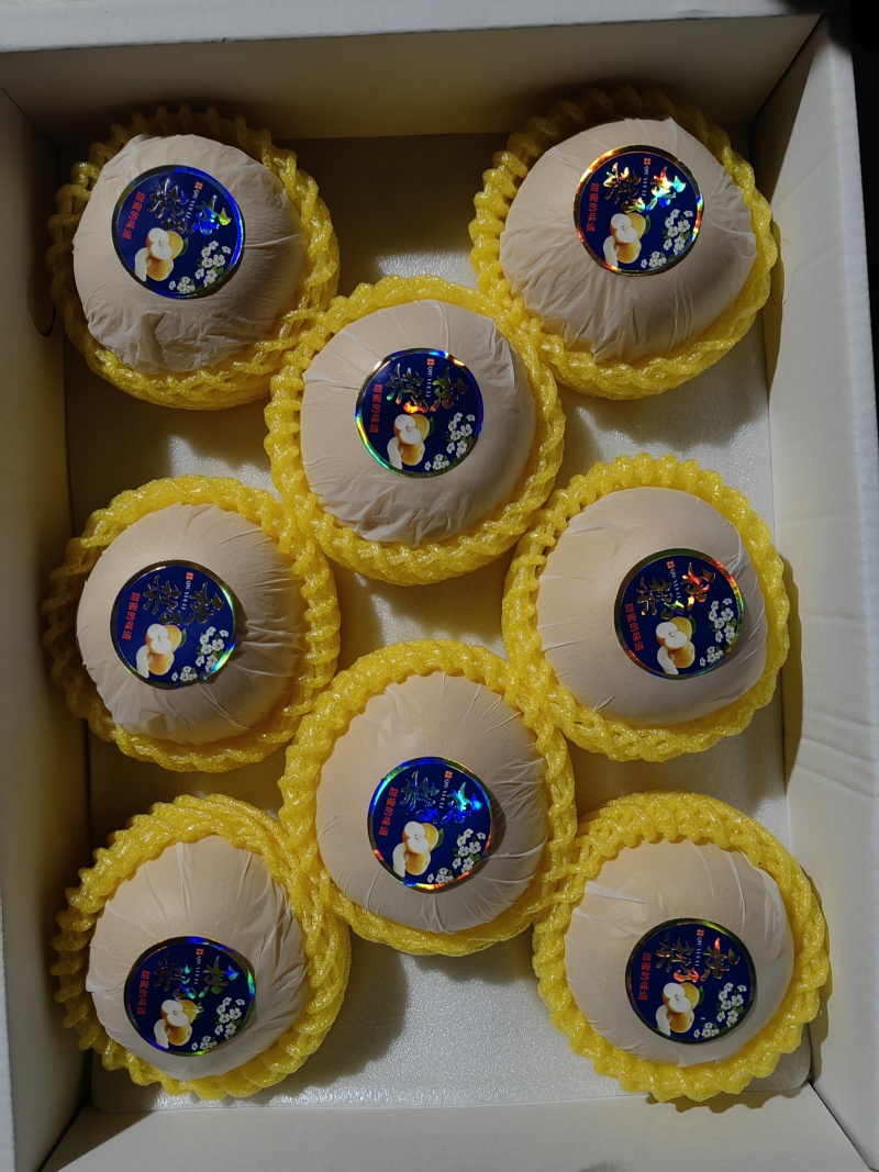 烟台精品爆汁秋月梨糖度12+化渣好