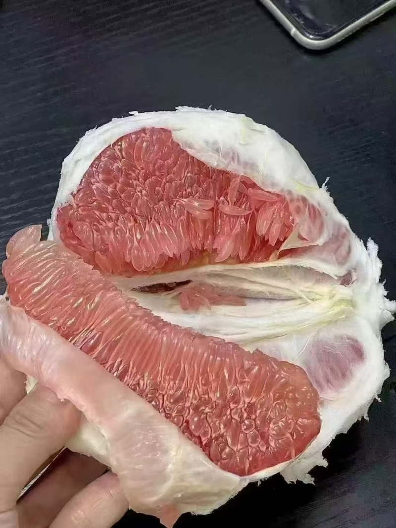 广东沙田柚大量上市中，一手货源视频看货欢迎致电