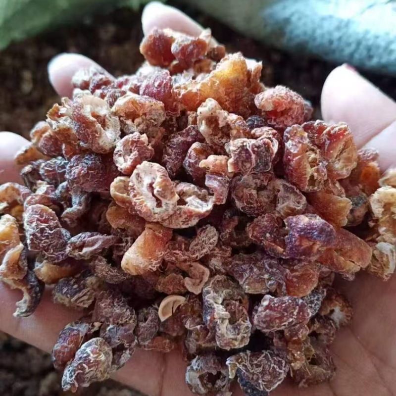 余甘子肉云南中药材无核余甘子大量有余甘肉余甘子果可打粉