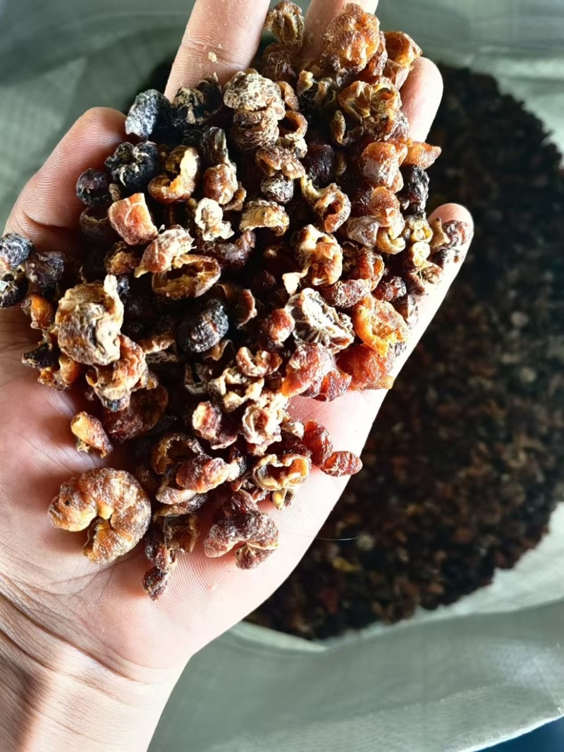 余甘子肉云南中药材无核余甘子大量有余甘肉余甘子果可打粉