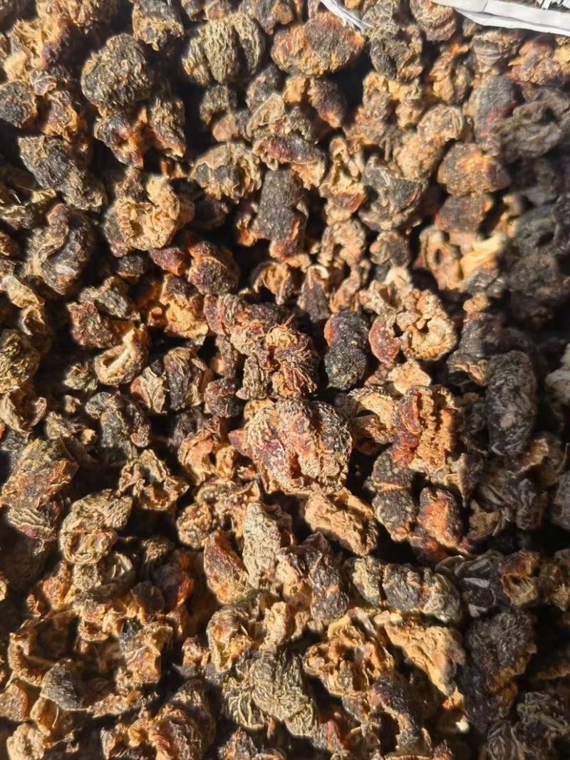 余甘子肉云南中药材无核余甘子大量有余甘肉余甘子果可打粉