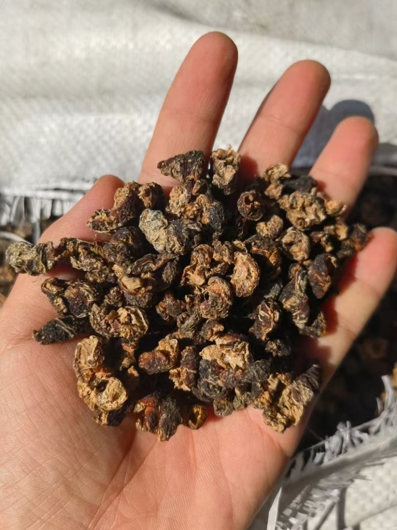余甘子肉云南中药材无核余甘子大量有余甘肉余甘子果可打粉