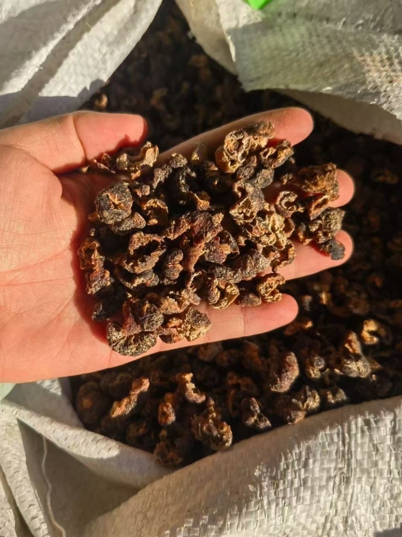 余甘子肉云南中药材无核余甘子大量有余甘肉余甘子果可打粉