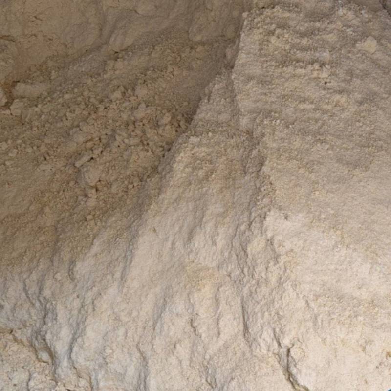 鲜豆腐渣