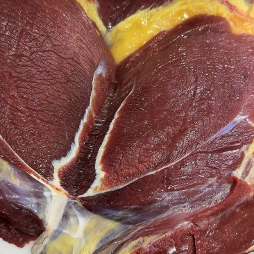 高原草膘牦牛肉