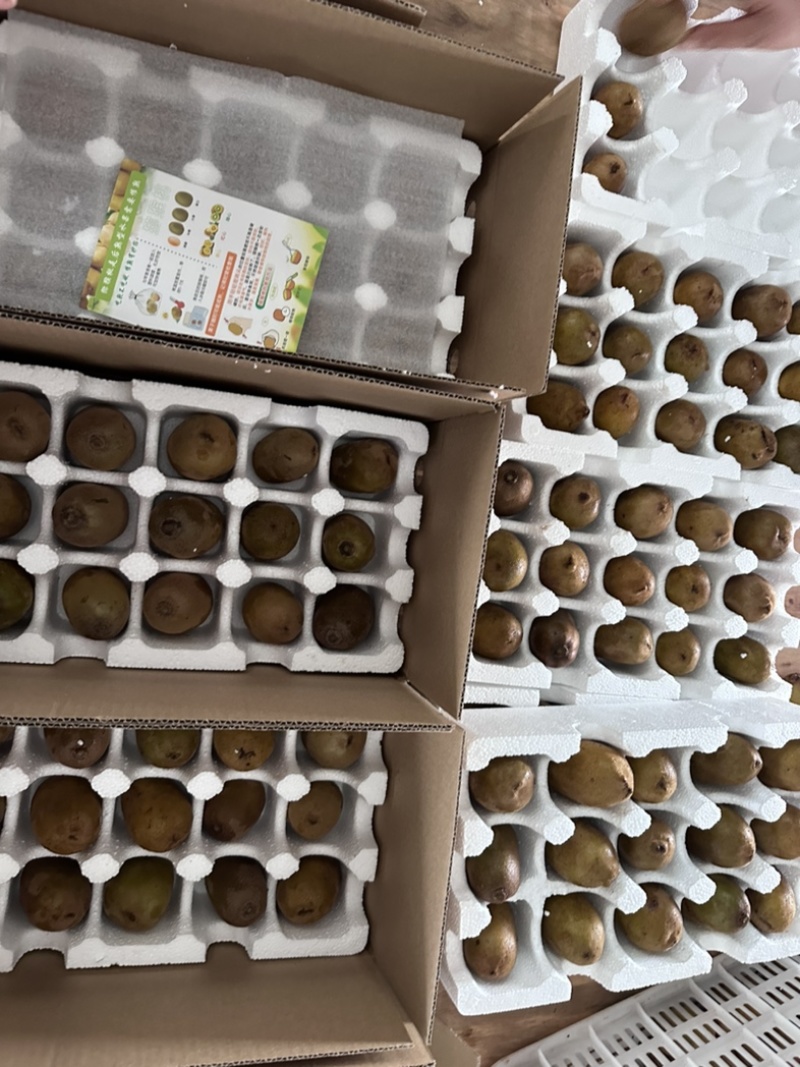 蒲江原产地黄金奇异果，口感纯甜，老人小孩孕妇放心食用