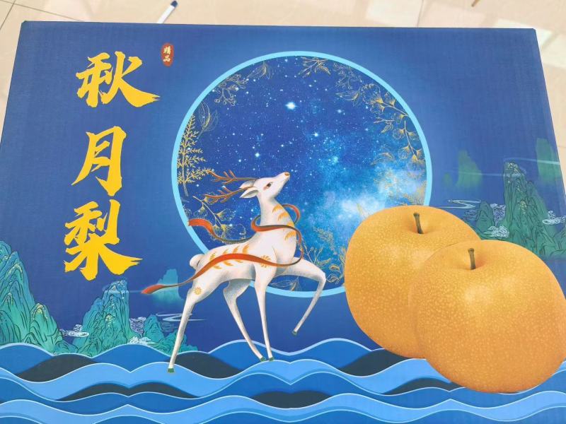 秋月梨礼盒，新华梨
