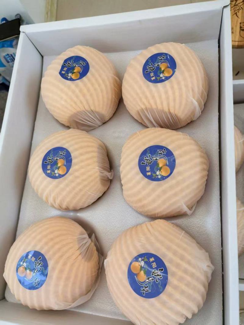 秋月梨礼盒，新华梨