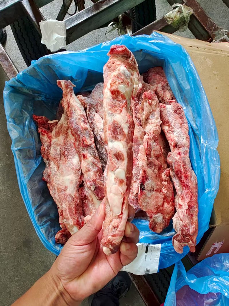 猪胸骨