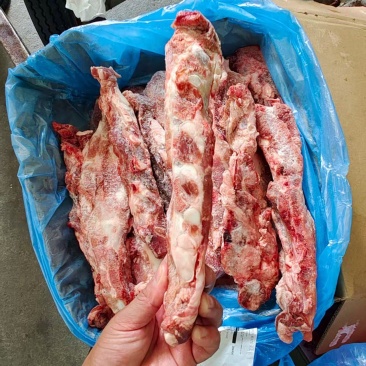 猪胸骨