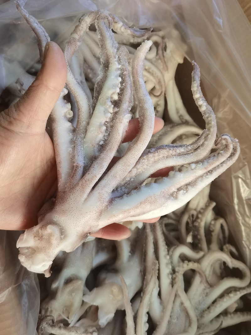 300/40单冻鱿鱼头，干冰，大量现货
