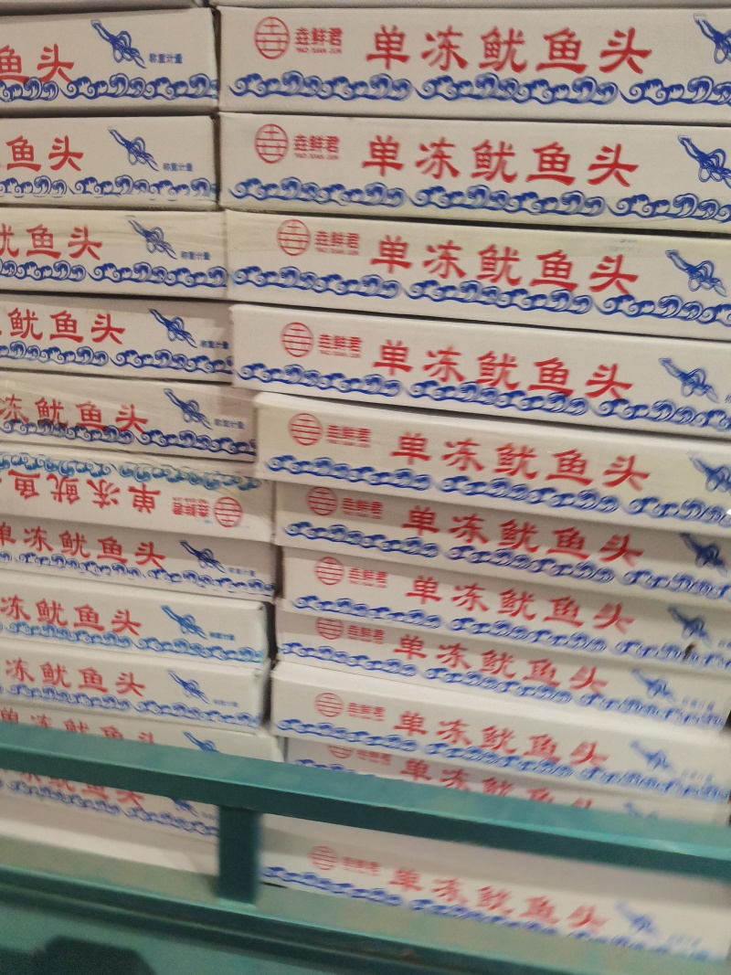 300/40单冻鱿鱼头，干冰，大量现货