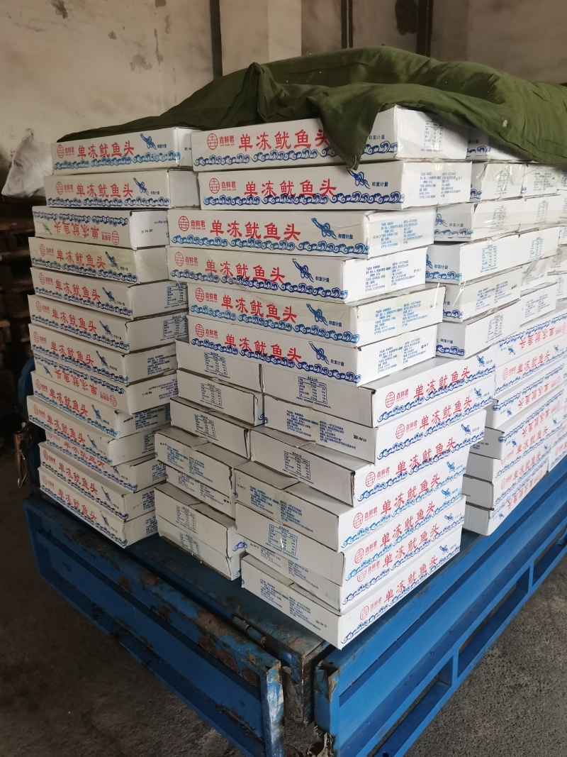 300/40单冻鱿鱼头，干冰，大量现货