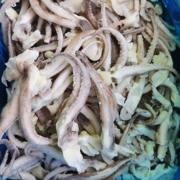 干冰单冻二本足(单冻鱿鱼须)，大量现货