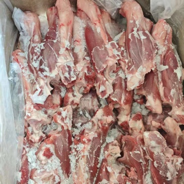 羔羊前腱骨，羊前腱，厂家直发，量大从优欢迎来电