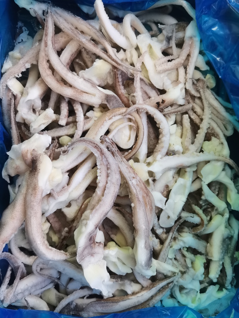 干冰单冻二本足(单冻鱿鱼须)，大量现货