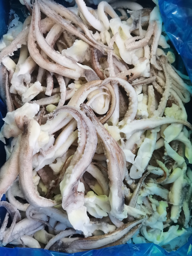 干冰单冻二本足(单冻鱿鱼须)，大量现货