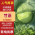 精品奥期拉，质量好，量大，可以洽谈合作，欢迎电话联系