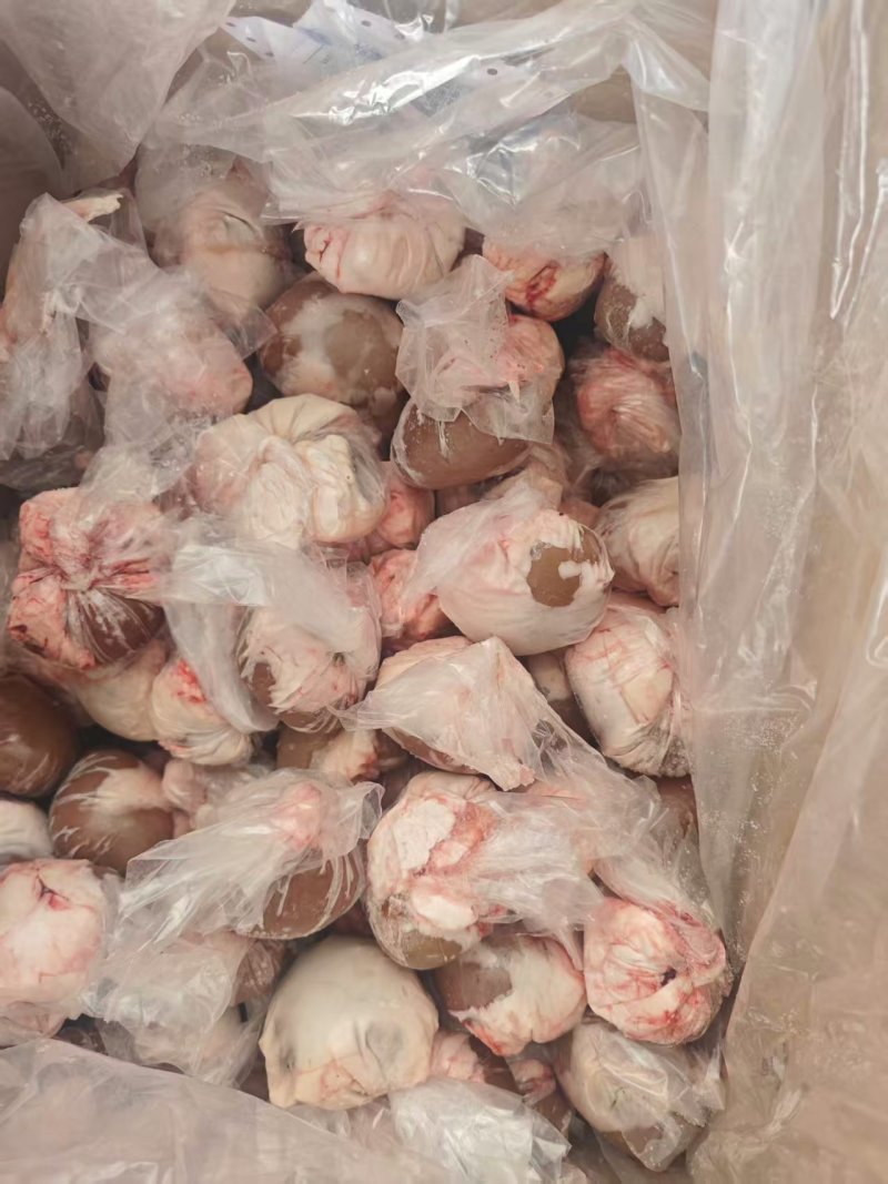羊腰子/羔羊腰子，厂家直发品质保证诚信合作欢迎下单