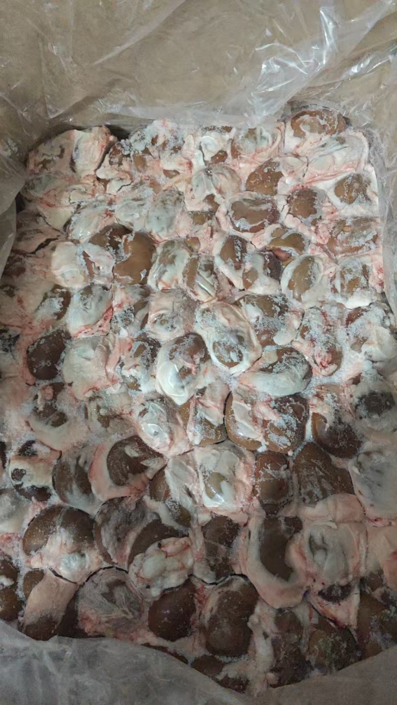 羊腰子/羔羊腰子，厂家直发品质保证诚信合作欢迎下单