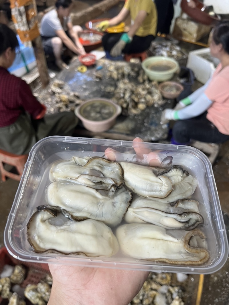 生蚝肉蚝肉乳山蚝肉脆蚝肉可凉拌，烧烤，火锅