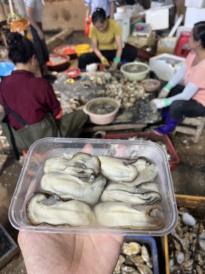 生蚝肉蚝肉乳山蚝肉脆蚝肉可凉拌，烧烤，火锅