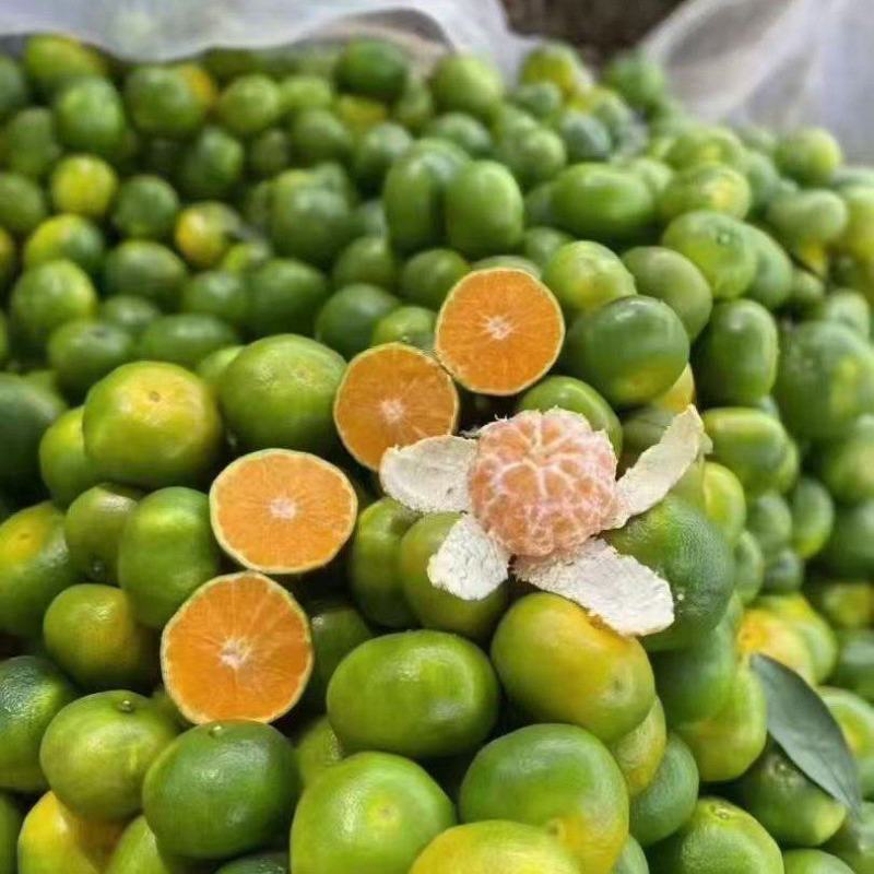 蜜橘湖北蜜橘产地直发品质保障量大优惠保质保量