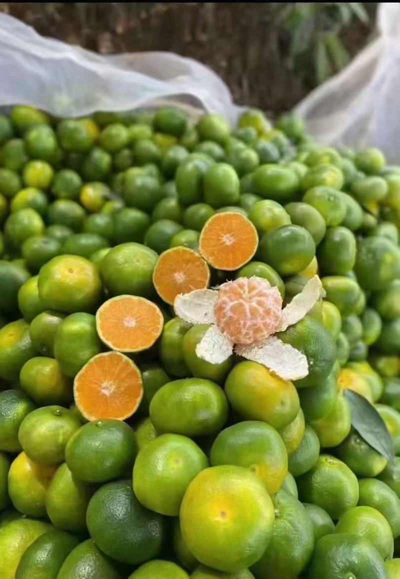 蜜橘湖北蜜橘产地直发品质保障量大优惠保质保量