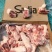 后肘骨