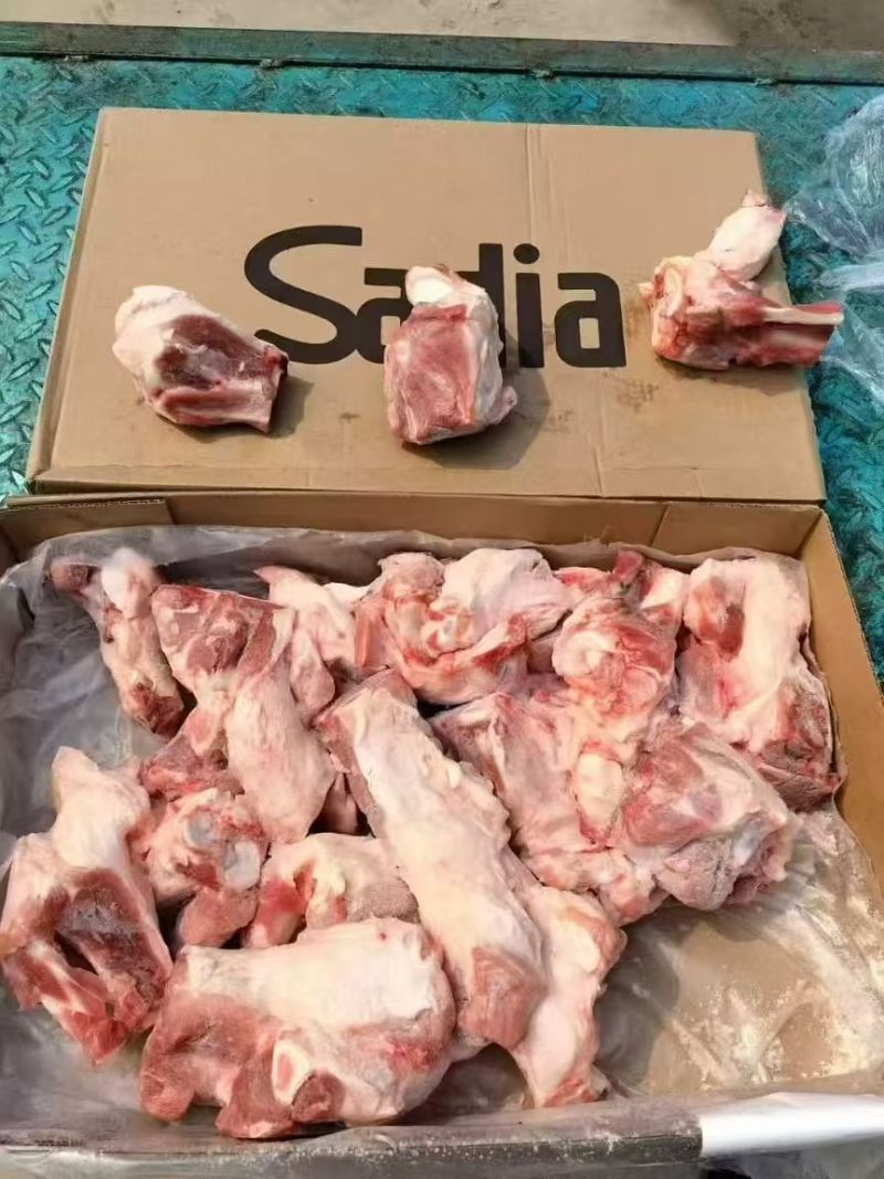 后肘骨