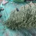 精品长豆角大量有货。基地直发，电商供货。