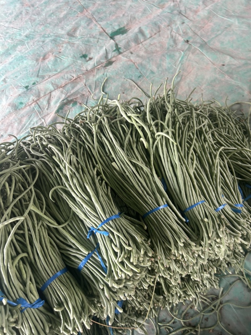 精品长豆角大量有货。基地直发，电商供货。