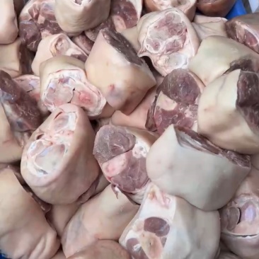精品脚圈（小肘子）