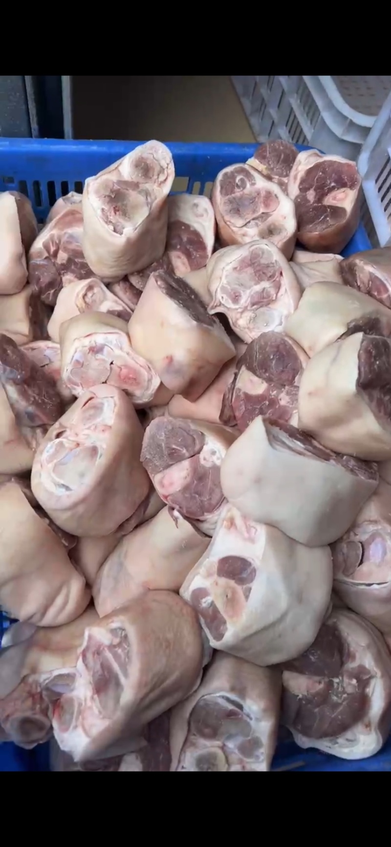 精品脚圈（小肘子）