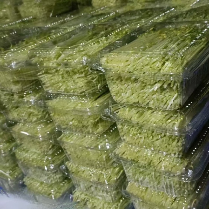 精品有机豌豆苗基地直发量大从优***欢迎咨询