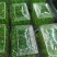 精品有机豌豆苗基地直发量大从优***欢迎咨询