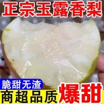 玉露香梨产地直发，正宗产地直供一件代发