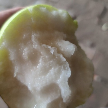 雪花梨7两起步