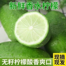 香水柠檬产地直发质量保证口感香甜量大从优电联
