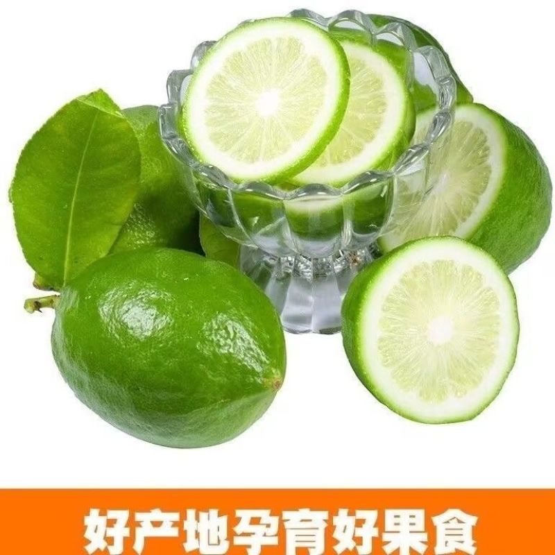 无籽柠檬产地直发质量保证口感香甜量大从优电联