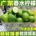 无籽柠檬产地直发质量保证口感香甜量大从优电联