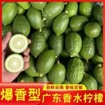 无籽柠檬产地直发质量保证口感香甜量大从优电联