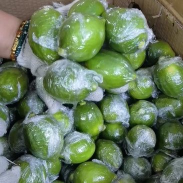 一级果有现货