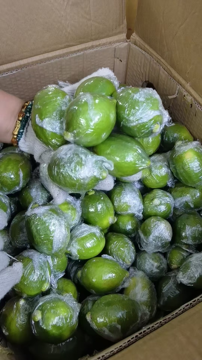 一级果有现货