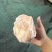 前肘6-7个头后肘6-7个头