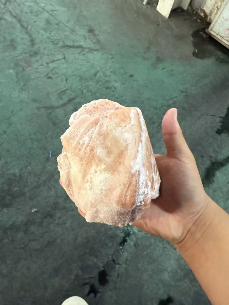 前肘6-7个头后肘6-7个头